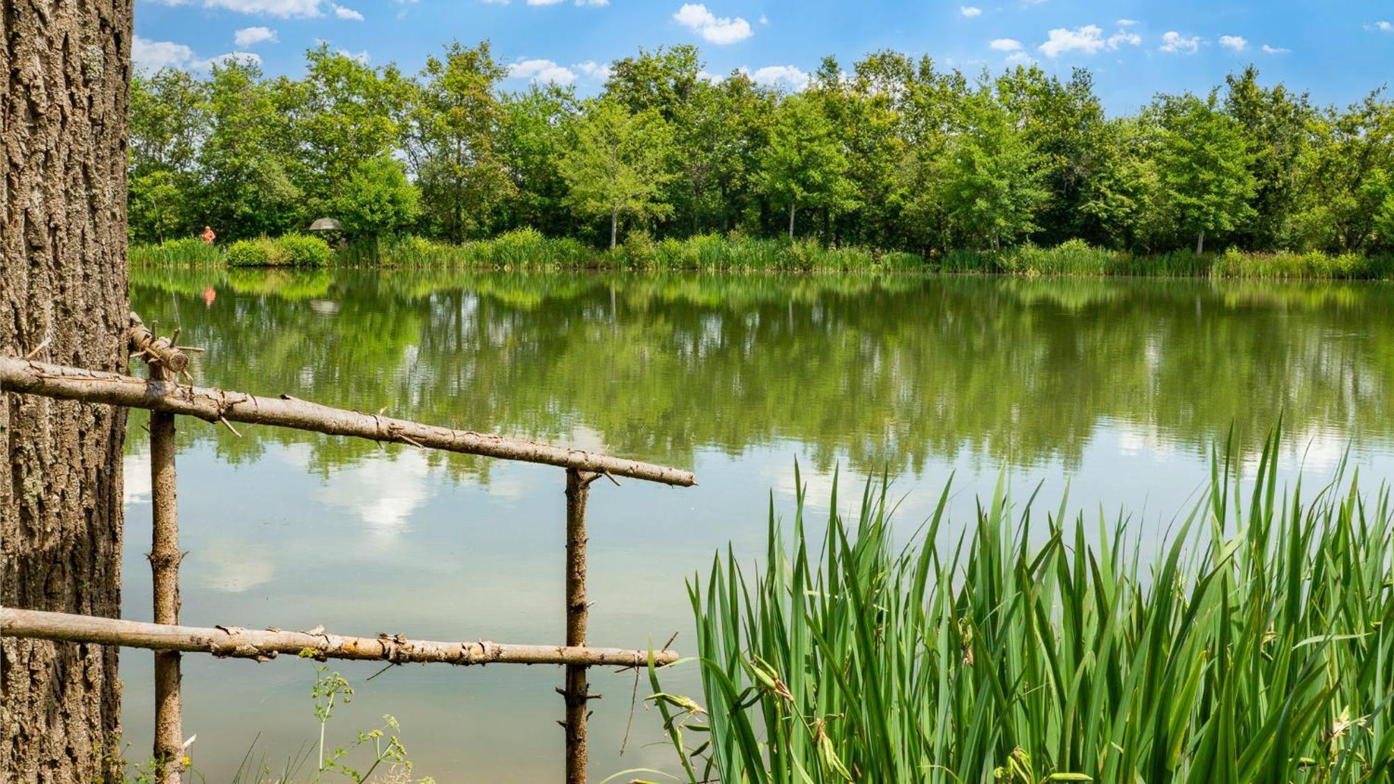 Camping Aubigny-Les Clouzeaux Aubigny  Exteriér fotografie